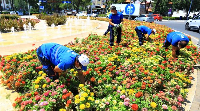 Basın Bülteni - Büyükşehir Muğla&#039;yı Renklendiriyor