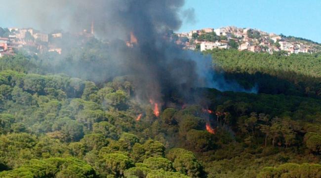 MALTEPE’DEKİ YANGIN SÖNDÜRÜLDÜ