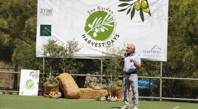 Bodrum Özüne Dönüyor, 7000 yıllık tohum Bodrum'da!