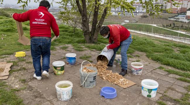 SOKAK HAYVANLARINI BESLERKEN BUNLARI UNUTMAYIN