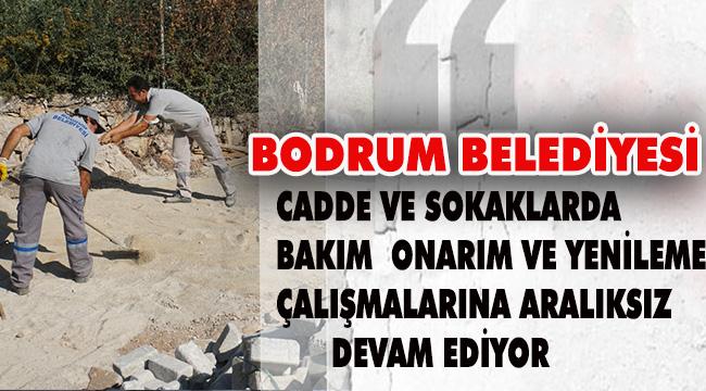 SOKAK VE CADDELERDE ÇALIŞMALAR ARALIKSIZ DEVAM EDİYOR