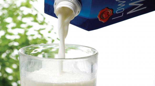 Uzmanlar güvenli süt tüketimine dikkat çekiyor