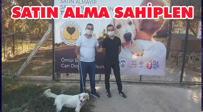 CAN DOSTLARINI SAHİPLENENLER ÇOĞALIYOR