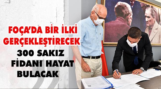 FOÇA’DA 300 SAKIZ FİDANI HAYAT BULACAK