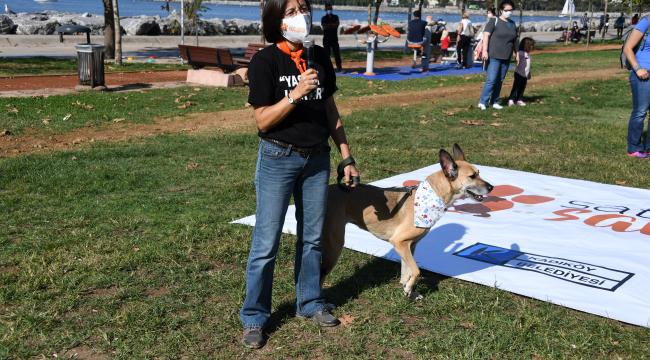 HAYATI DEĞİŞEN 20 KÖPEKLE “SATIN ALMA SAHİPLEN” MESAJI VERDİLER