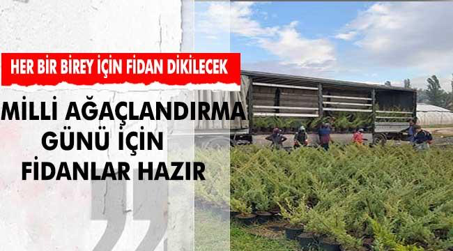 Milli Ağaçlandırma Günü için fidanlar hazır