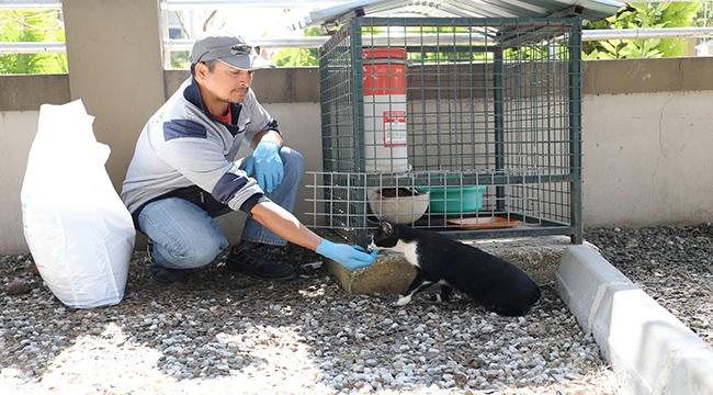 CAN DOSTLAR UNUTULMUYOR