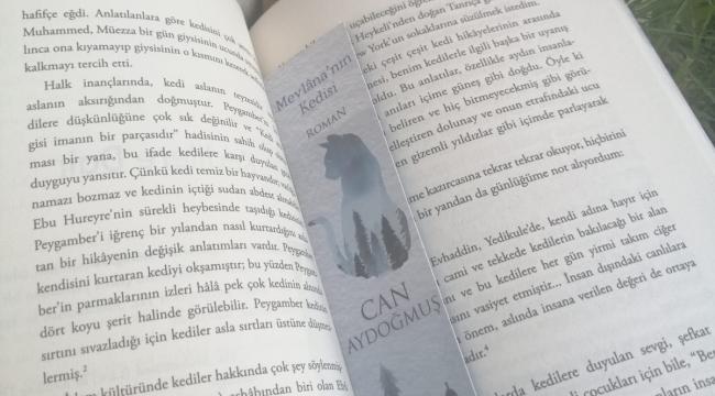 MEVLÂNA’YI KEDİSİNİN GÖZÜNDEN ANLAMAK…