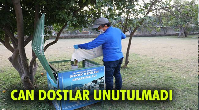 PATİLİ DOSTLAR AÇ KALMADI