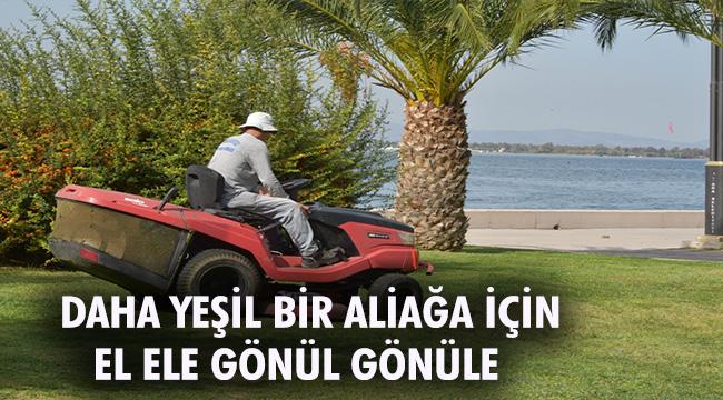 2020’de 1 Milyon 250 Bin Bitki Aliağa’da Toprakla Buluştu