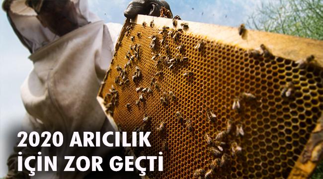 "ARICILIK SEKTÖRÜ 2020'DE DİBİ GÖRDÜ"