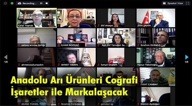 Balda kalitenin anahtarı: Sözleşmeli Arıcılık