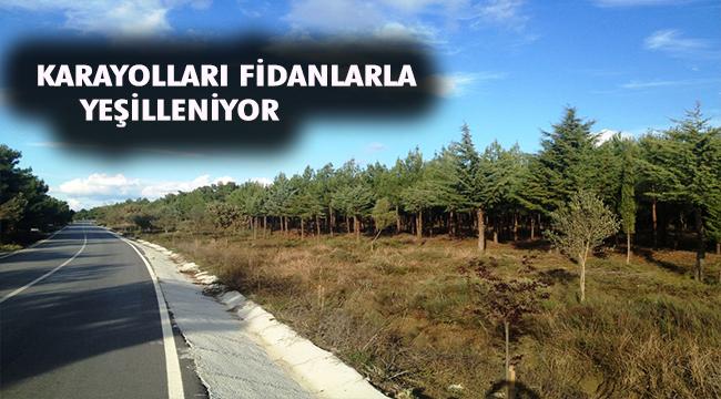 Karayolları fidanlarla yeşilleniyor