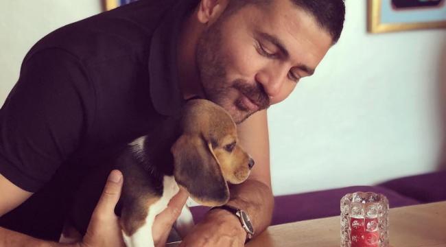 SOKAK CANLARI FOÇA’DA EMİN ELLERDE