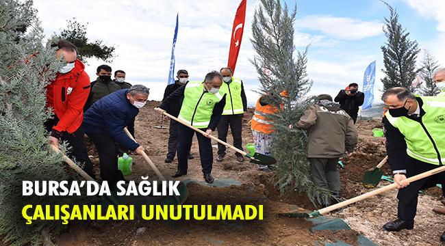 Bursa BB’den Sağlık Kahramanları Ormanı