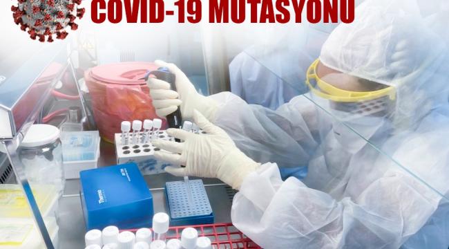 KKTC’de Mutasyonlu Virüs Saptandı!