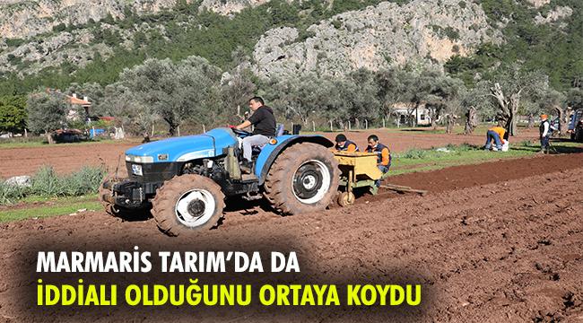 ŞİMDİ SIRA PATATESTE