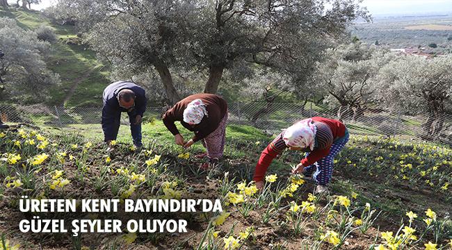 Bayındır’da Üreticiye “Mis” Gibi Destek