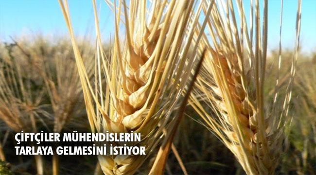 Boğaziçili akademisyenler araştırdı: Çiftçiler ne istiyor?