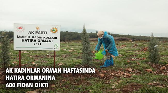 Başkan Büyükdağ, ''Her yıl olduğu gibi bu yıl da fidanlarımızı toprakla buluşturduk''