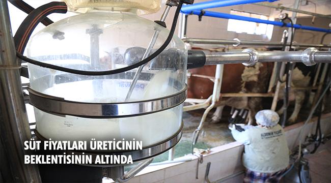 SÜT FİYATLARI 2.60 LİRAYA KADAR DÜŞTÜ