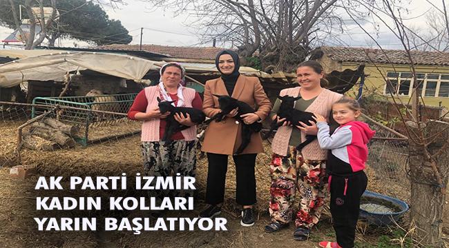 AK Parti İzmir İl Kadın Kolları Başkanlığı’ndan kadın girişimcilere kooperatifçilik eğitimi 