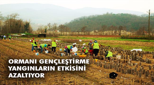 Bekir Karacabey; “50 yıl sonrası için ormanlarımızı bugün gençleştiriyoruz”