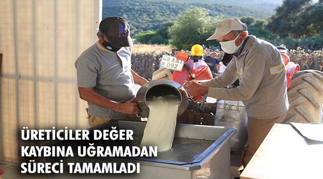 Örgütlü Süt Üreticilerinin Bayramda Yüzü Güldü