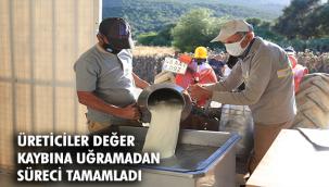 Örgütlü Süt Üreticilerinin Bayramda Yüzü Güldü