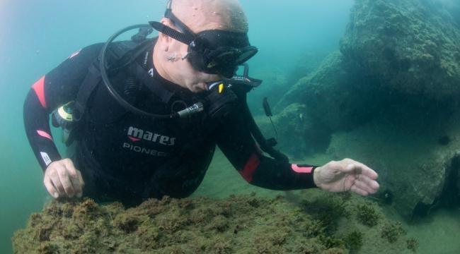 Başkan Soyer Körfez'de tüplü dalış yaptı, sualtındaki yaşamı gözlemledi
