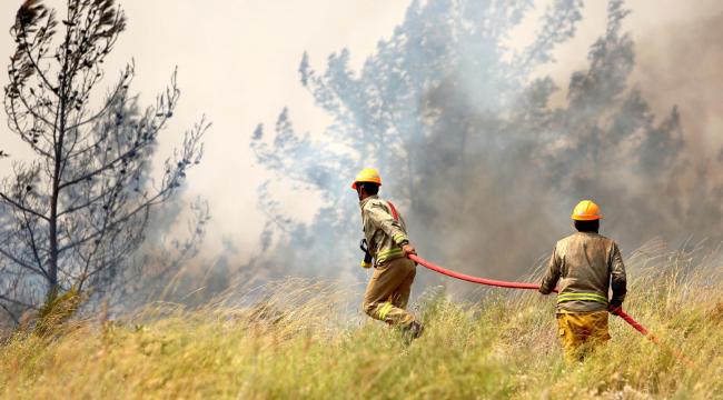 Orman yangınlarıyla mücadelesinde OGM'ye ödül