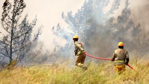 Orman yangınlarıyla mücadelesinde OGM'ye ödül