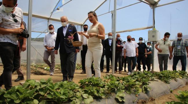 VALİ KÖŞGER EFES TARLASI YAŞAM KÖYÜ’NDE