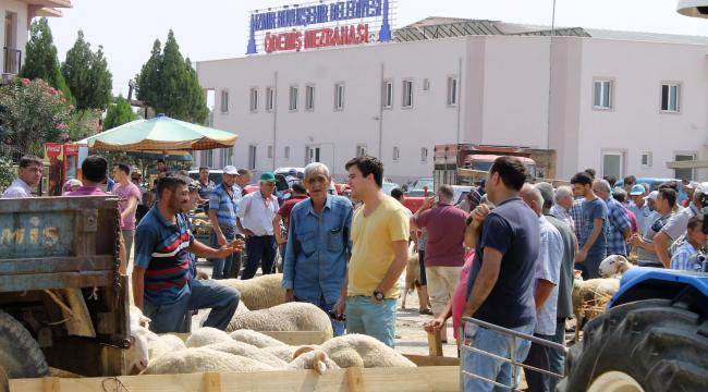 Ödemiş’te kurban satış ve kurban kesim yerleri belli oldu