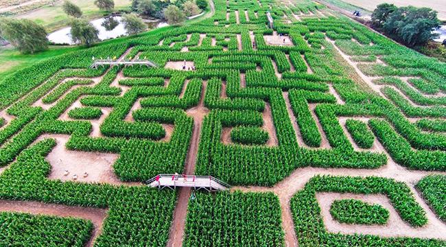 Tarım ve Turizm Aynı Projede Buluştu, “Mısır Labirenti”