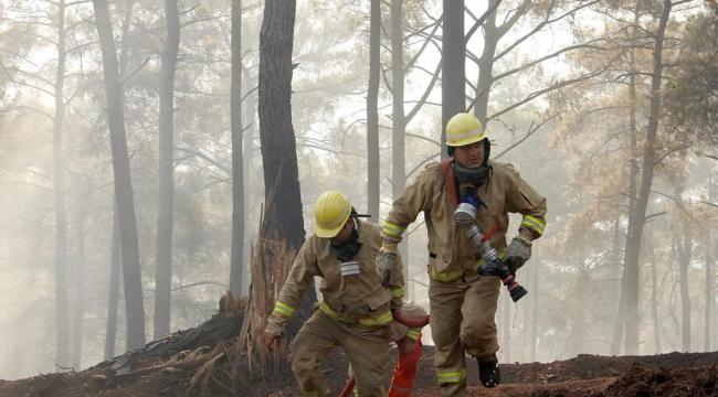 16 günde 54 ilde çıkan 299 orman yangınının tamamı kontrol altına alındı