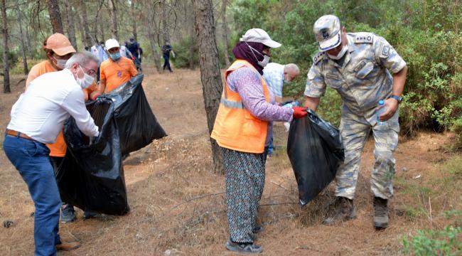 Aliağa’da Orman Temizliği Devam Ediyor