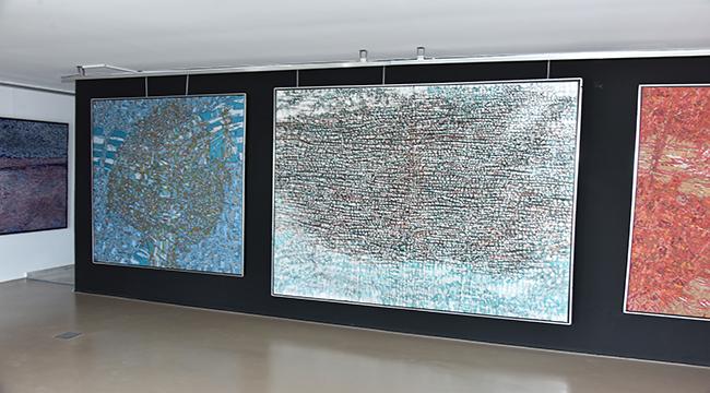 Devrim Erbil “İstanbul’dan Bodrum’a” Sergisi Açıldı.