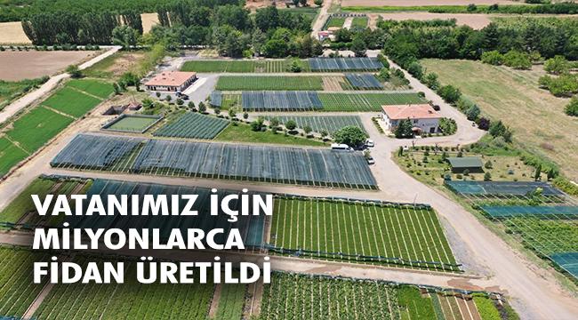 Yeşil Vatan İçin 273 Milyon Fidan Üretildi
