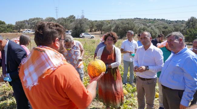 Çeşme kavunu tescillendi