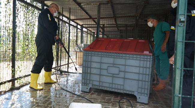 BEŞİKTAŞ BELEDİYESİ PATİLİ DOSTLARIN YAŞAM ALANLARINI KÄRCHER İLE BİRLİKTE TEMİZLEDİ