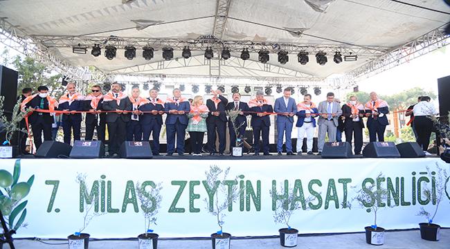7. Milas Zeytin Hasat Şenliği Coşkuyla Geçti