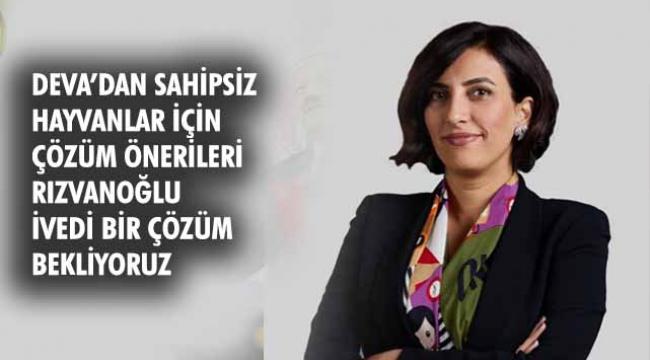 DEVA’DAN SAHİPSİZ HAYVANLAR İÇİN ÇÖZÜM ÖNERİLERİ