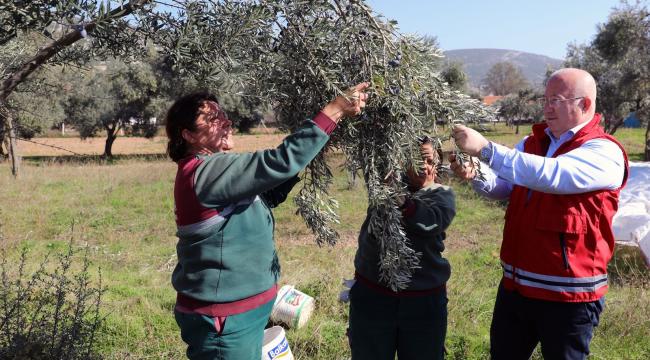 Menteşe’nin Yeni Yıl Ajandasında Tarımsal Üretim Var