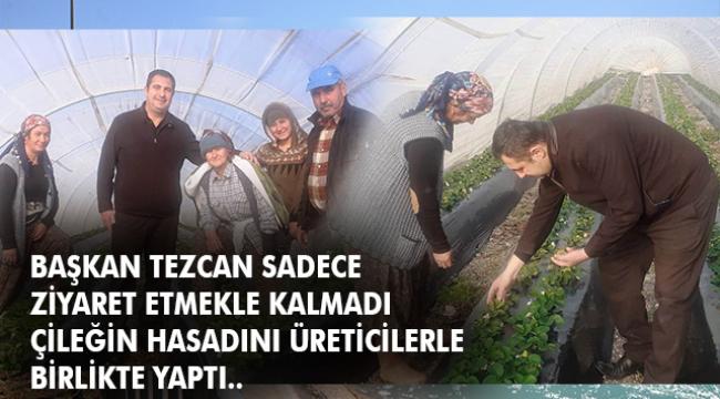 Tezcan: &#039;&#039;Üreticimizi Küstürmeyin&#039;&#039;