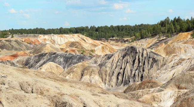 47 Kurumdan Ortak Talep: Orman Kanunu Ormanları Korusun İstiyoruz!