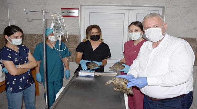 Can dostlar emin ellerde