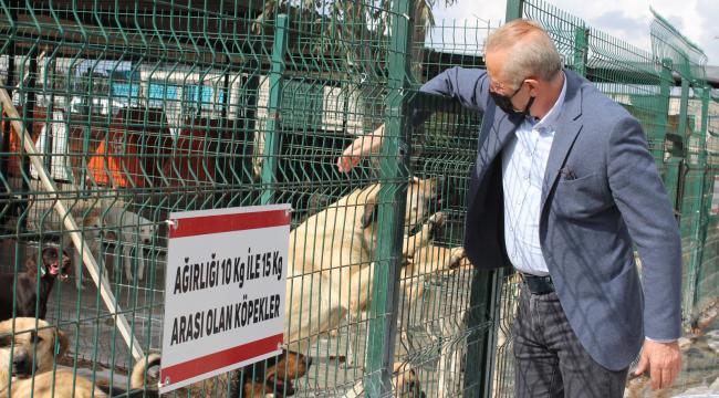 BAŞKAN ATABAY&#039;IN CAN DOSTLAR İÇİN YENİ PROJESİ HAYATA GEÇİYOR