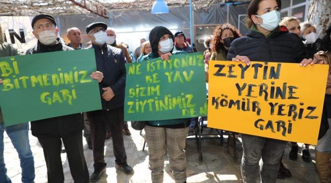 BAŞKAN ATABAY: ZEYTİN AĞAÇLARI BİZİM TOPRAKLARIMIZIN HAZİNELERİDİR