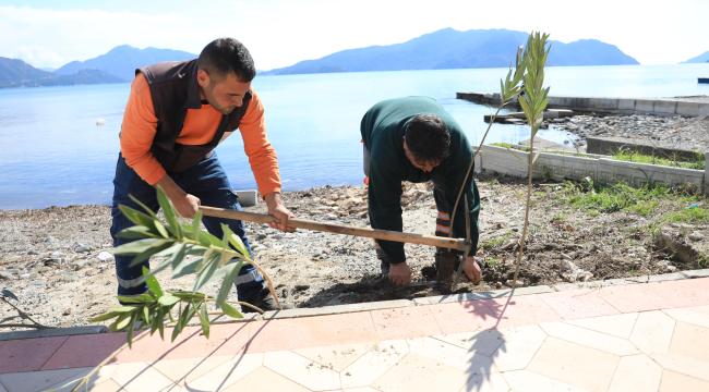 UZUNYALI’YI ZAKKUMLAR SÜSLEYECEK